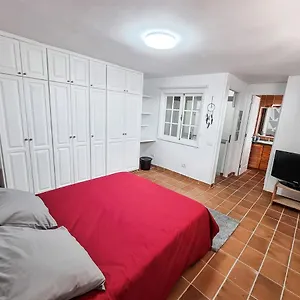 https://casa-luz-precioso-apartamento-en-el-centro-del-puerto.tenerifehoteles.net