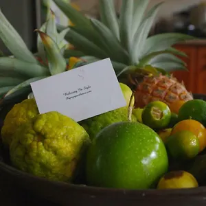 https://papaya-guesthouse.maheislandhotels.com